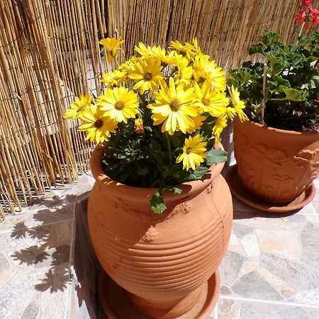 Apartment Reggina's Place